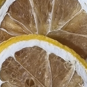 Orange Slices 30g