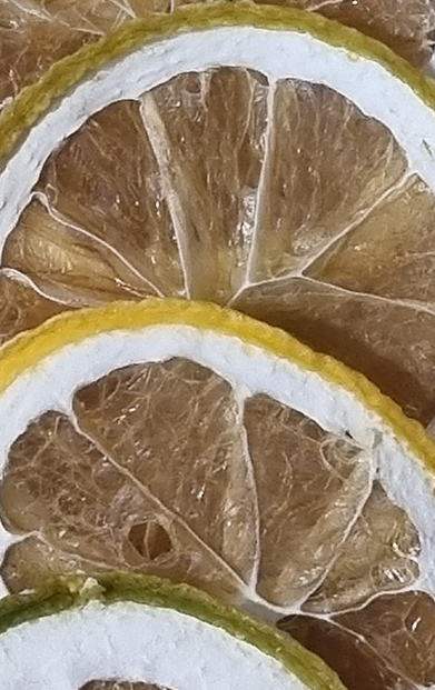 Orange Slices 30g