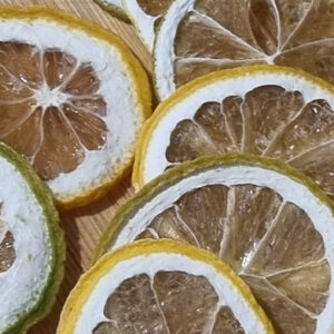 Orange Slices 10g
